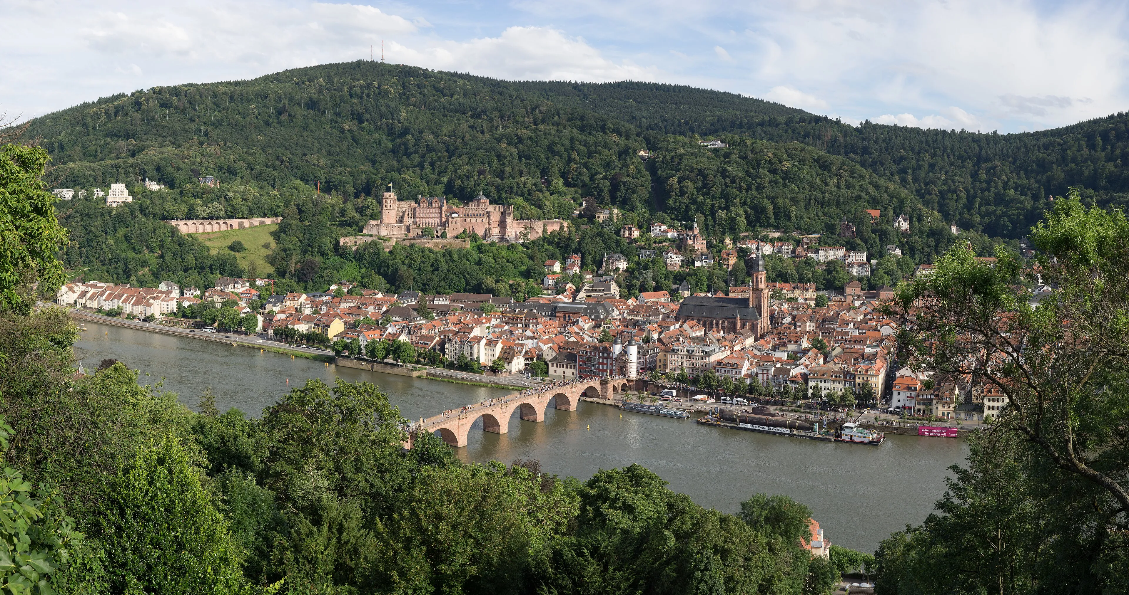 Blick vom Königstuhl über Heidelberg, den Neckar und die Rheinebene